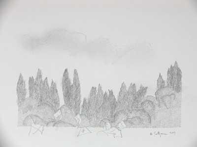 Environs Lake Garda, Italy 2007, Drawing 9 by Marvin Saltzman