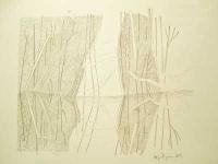 Trent River Winter 2011 - 2012, Drawing 1 by 