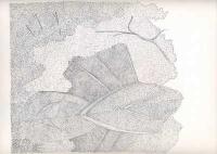 Trent River Summer  2009 - 2010, Drawing 5 by 