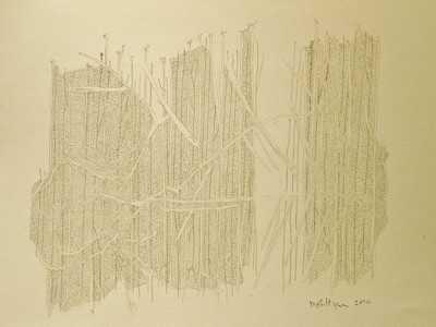Trent River Winter 2011 - 2012, Drawing 2 by Marvin Saltzman