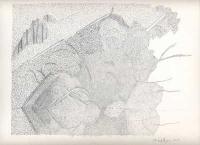 Trent River Summer  2009 - 2010, Drawing 3 by 