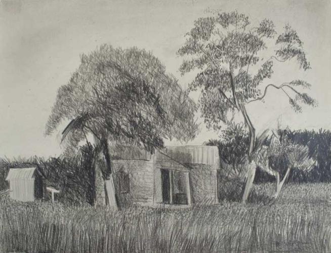DRAWING #100 EASTERN NC 1974  GRAPHITE ON PAPER by Marvin Saltzman